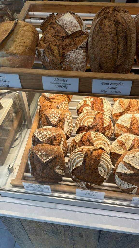A tempting assortment of fresh artisan breads in a bakery display, highlighting rustic loaves.